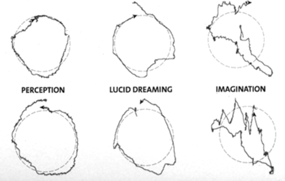 [Circle tracking: Perception, Dreaming, and Imagination]
